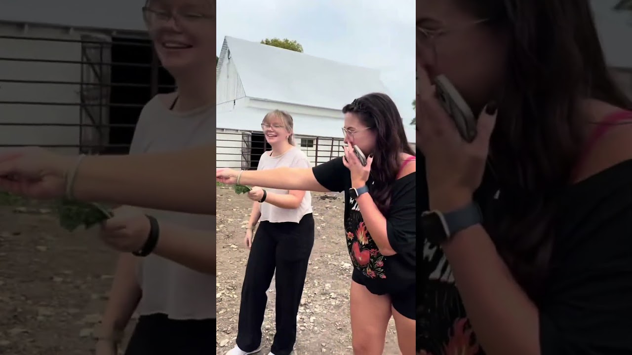 Инстинкты выживания грецкого ореха