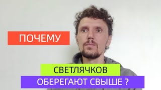 Духовный мир защищает людей идущих светлым путем.Почему светлячки так ценны ?