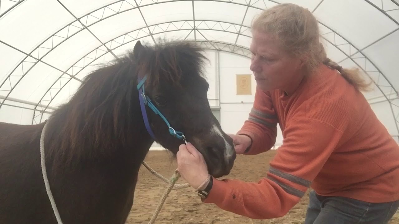 Challenging Reactions to Flexions In Hand 