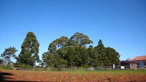 petit trainer scratch build twin