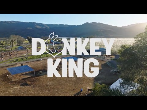 Donkey King S1 E2 Ring Around The Rosie 