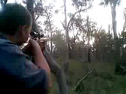 having fun by shooting down a tree with a 30-06. Remington 700 BDL Please comment and rate....