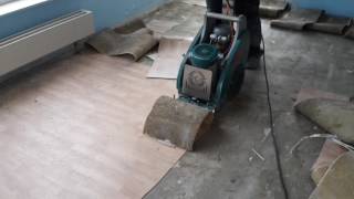 CV Belag mit Bull von Contec