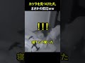 カツラを見つけた犬、まさかの反応ｗｗ