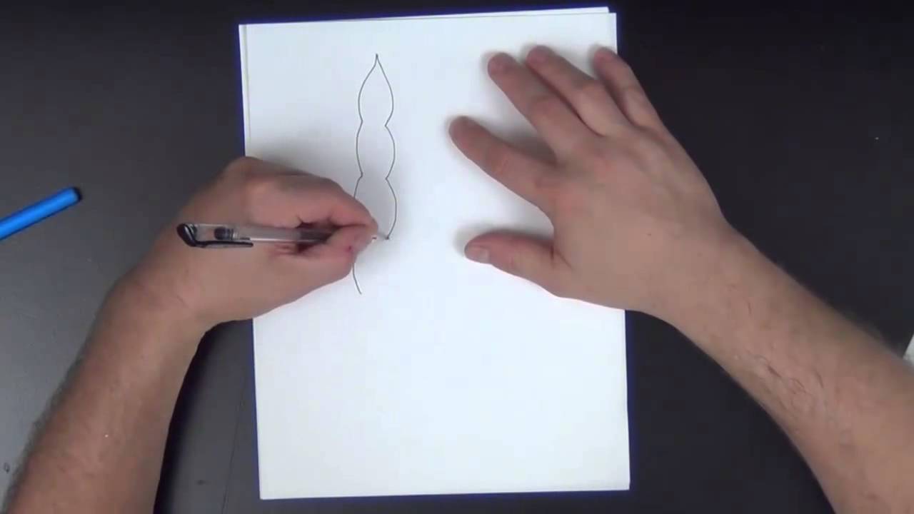 Development of the pharyngeal arches - YouTube