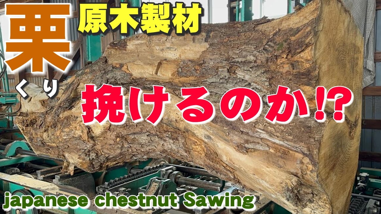 イビツな原木製材】岩手県産くり原木から一枚板を製材【木の店さんもく