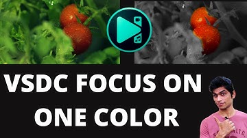 VSDC Tutorial - How to focus on only one color.
