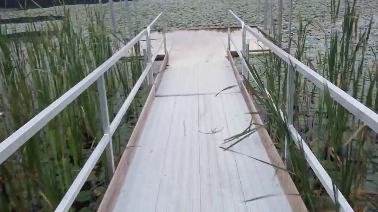 camera iphone 8 plus apk The water got too deep for the Dock