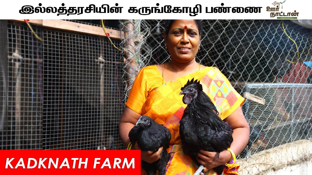 கருங்கோழி வளர்ப்பில் அசத்தும் இல்லத்தரசி | Kadaknath Farm | Oor Naattan