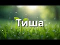 Тиша спокійна музика 1 година м якої інструментальної музики без слів