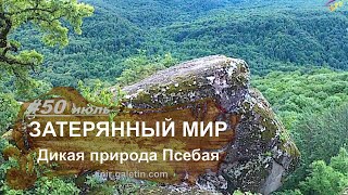 Затерянный мир. Дикая природа Псебая. Каменный лес. Искатели приключений