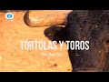 Trtolas y toros