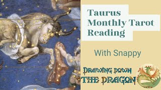 TAURUS MONTHLY TAROT READING NOV 2025