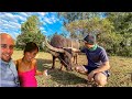 How I Met My Thai Partner & Her Buffalo In Thailand 🇹🇭