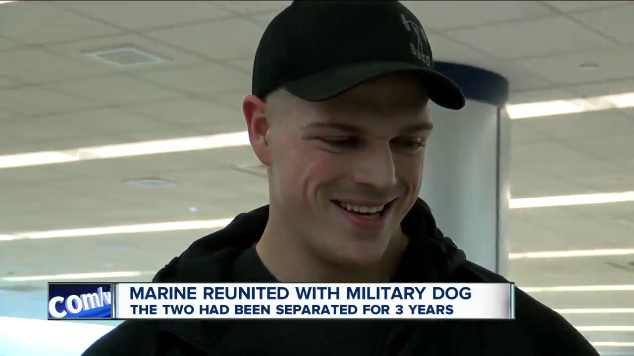 Marine reunited with Military Working Dog after 3 years apart - YouTube