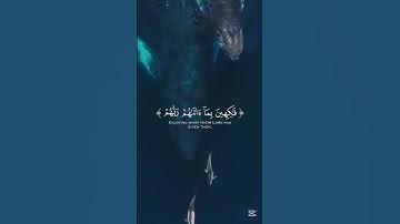 إن المتقين في جنات ونعيم#رِهافين #المصحف #قرآن #اكسبلور #راحة_نفسية #آيات#islamic