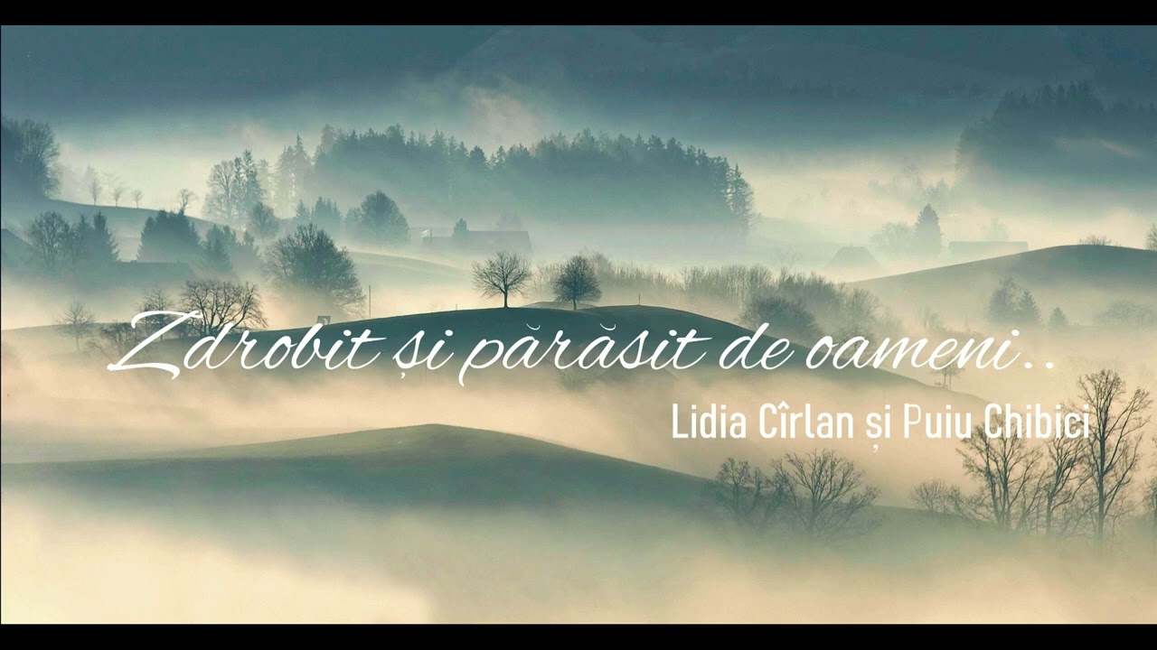 Album (24) Zdrobit și părăsit de oameni - Lidia Cîrlan și Puiu Chibici