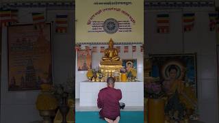 🙏🌹Buddha quotes🌹🙏 #viralreels #motivation #viralvideo #shortvideo #buddhism