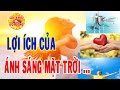 Chuyện gì xảy ra nếu bạn suốt ngày chỉ thích ở nhà?