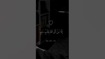 ولا تخزني يوم يبعثون 💮 لا اله الا الله 🕊️ اجمل صوت قران كريم 🌾
