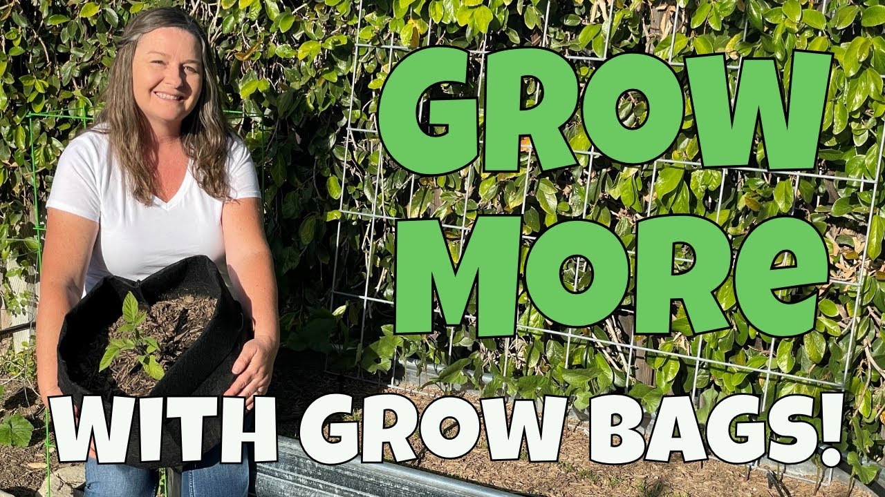 What are GROW BAGS? How to grow vegetables using Grow Bags!🍅 - YouTube