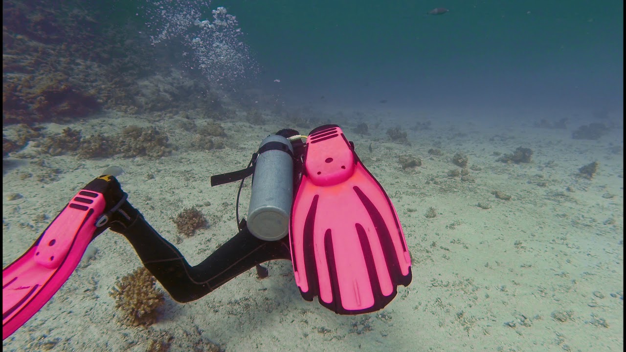 Dive in Red sea part 2 (Hero3+Black)