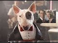 Spuds MacKenzie plays piano 1987 beer commercial