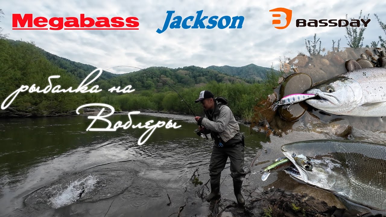 ВОБЛЕРЫ в деле | Ходим-бродим, СИМУ находим.