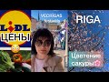 ОТКРОВЕННО БЕЗ ПРИКРАС- ОБО ВСЕМ✨ #europe #latvia #festival #vlog #покупки 