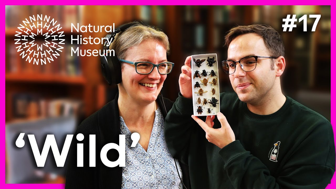 Джош развенчивает миф о древних циклопах | «Идеальный» экземпляр, эпизод 17