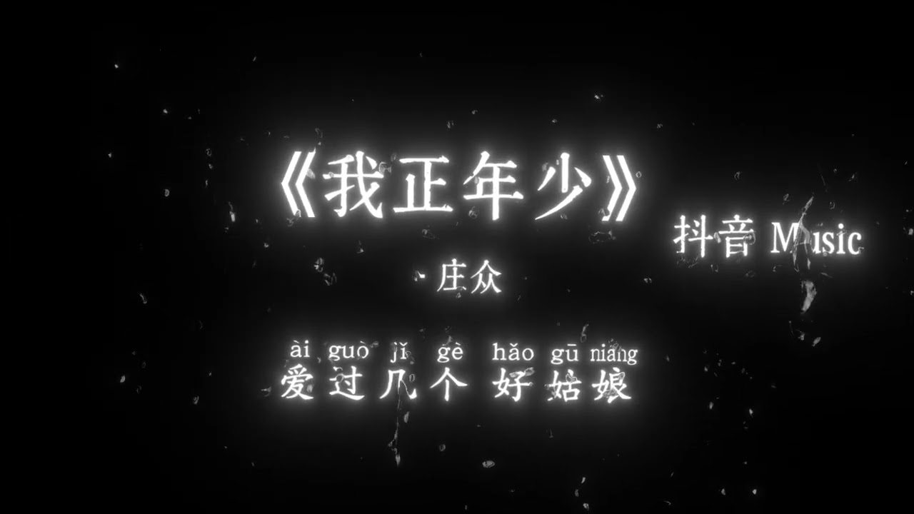 庄众 - 我正年少『月色洗过 老城墙，我拎酒壶 踏房梁，江湖像本 烂账本，越算越乱 不如忘。』🎧高质音乐｜拼音动态歌词｜抖音最火｜抖音｜TikTok