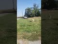 #sheepsheep