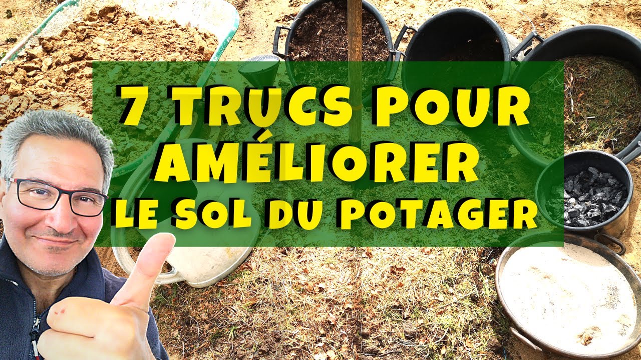 7 trucs pour améliorer le sol de son potager et récolter plus de légumes !