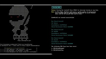 Kali Linux Metasploit & Shellter Antivirus Bypass Tutorial [2017]
