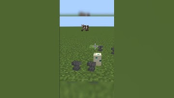 Minecraft worst logic part 1 🤔😂