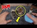 (IT WORKED) ORDERING PUPPY POTION FROM THE DARK WEB AT 3AM!! *CRAZY TRANSFORMATION*