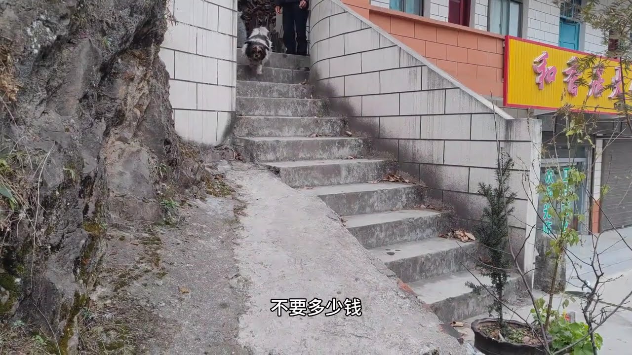 秦岭腹地的大河坝镇，街道干净整洁，晚上住30元民房，吃酸汤水饺