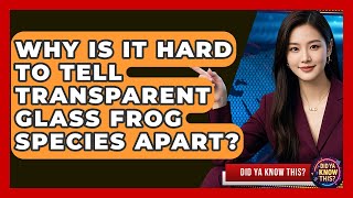 Why Is It Hard To Tell Transparent Glass Frog Species Apart? - Did Ya Know This