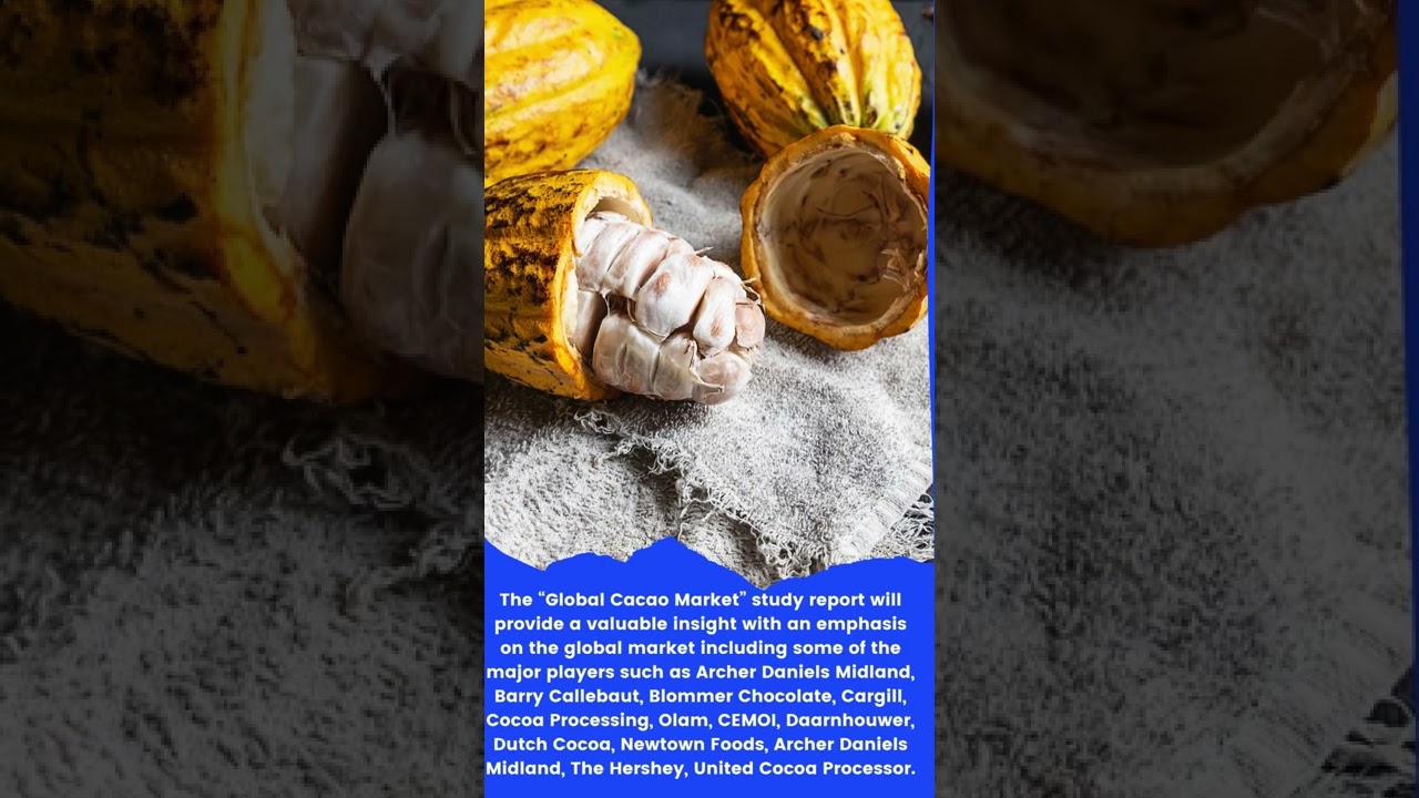 Top 10 Company In Cacao Market Size And Forecast - Verified Market Reports