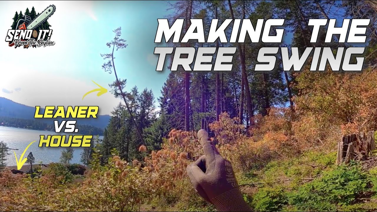 Taking Down a Hard Leaning Tree — Solo on a Hillside! - YouTube
