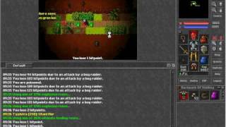 Hunt Bog Raider - Typhera Open Tibia Server