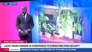 LSADA trains farmers in hydroponic farming to strengthen food security