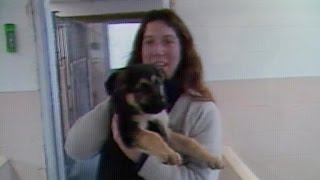 From the archives: Training seeing eye dogs
