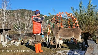 картинка: НАШЕСТВИЕ МЕДВЕДЕЙ |  ЖИЗНЬ В СИБИРСКОЙ ГЛУШИ | ОБЗОР УЧАСТКА И МОИХ ЖИВОТНЫХ ДЕРЕВЕНСКОГО ПОДВОРЬЯ