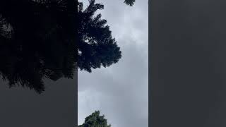Yeh Mausam Aaya Hai Kitne Salon Mein Lata Mangeshkar Kishore Kumar  Aakraman1975 