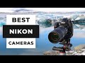 TOP 5 Best Nikon Cameras (2025)