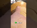 Mastering Wood Bowls: Waxing, Buffing, and Finishing Like a Pro #shorts
