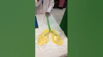 عمليه التنفس 