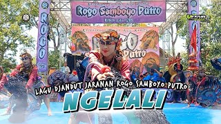 NGELALI Lagu Djandut ROGO SAMBOYO PUTRO Terbaru❗️