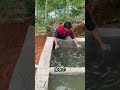 ほとんどの人が知らない「サイフォン効果」の秘密